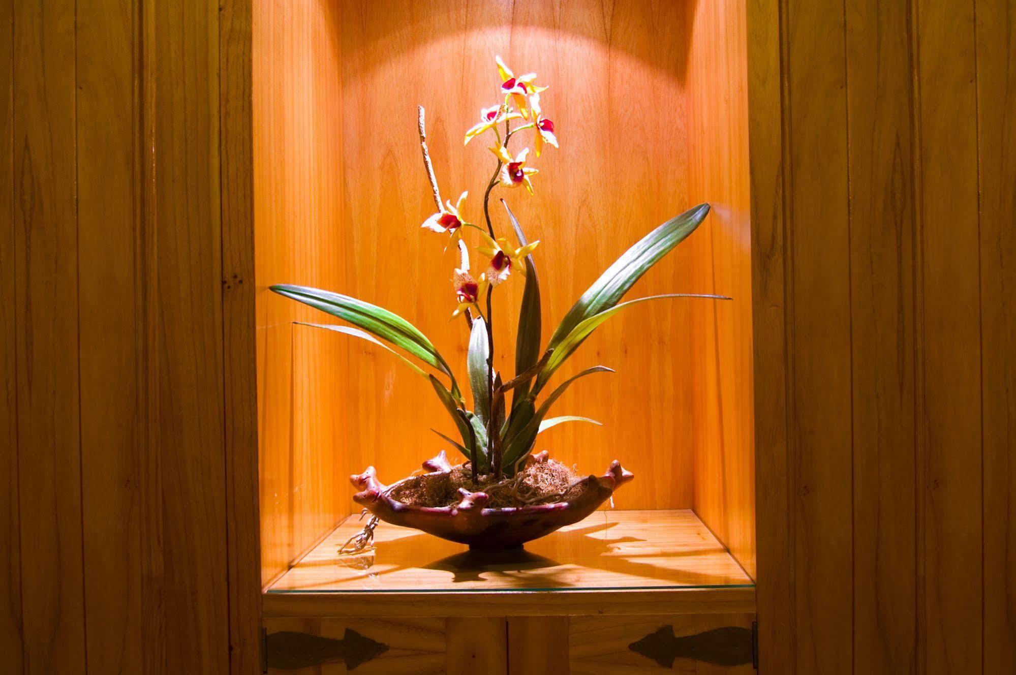 Hotel Las Margaritas Asuncion Luaran gambar